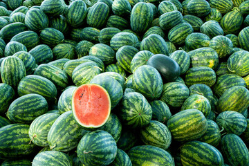 Fototapeta na wymiar Half watermelon one pice on lot of water melons, Healthy eating. Lots of juicy and ripe watermelons.
