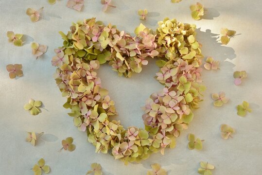 Heart-shaped romantic hydrangea wreath on a light background close-up