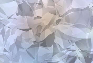 Light Purple vector backdrop with polygonal shapes.