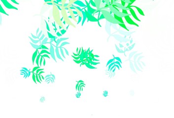 Fototapeta na wymiar Light Green vector elegant template with leaves.