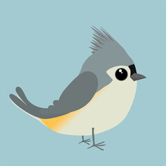 

A cute tufted titmouse comic illustration. Cut out on a blue background.