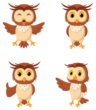 Cartoon owl different expressions. Vector illustration