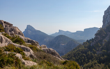 Fototapeta na wymiar Auf der Halbinsel Formentor, Mallorca