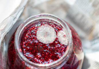 Mold in a jar of raspberry jam. Hazardous to health.