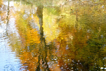 riflessi e giochi di luce nell'acqua del fiume