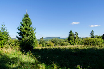 Bieszczady panorama