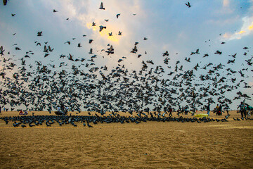 flying over the city