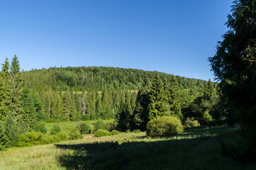Bieszczady Panorama 