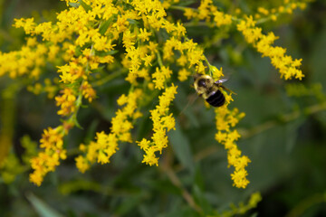 The beauty of nature and life...