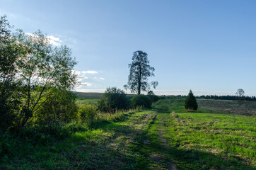 Bieszczady Panorama 