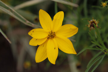 The beauty of nature and life...