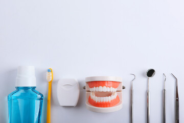 model of teeth and dental instruments and dental care products on a light background with a place to insert text