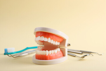 Fototapeta na wymiar model of teeth and dental instruments and dental care products on colored background