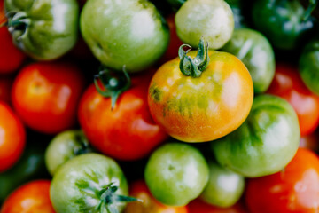 Macro photography of a tomato. Tomatoes lie in rows. Selective focus.