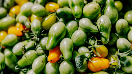 Macro photography of a tomato. Tomatoes lie in rows. Selective focus.