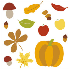 Collection of fall season symbols. Set of autumn related isolated objects. Mild colors. Leaves, acorns, apples, pumpkin, mushrooms, harvest. Can be used as stickers, decoration. Vector illustration 
