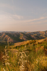 Person with car Porsche