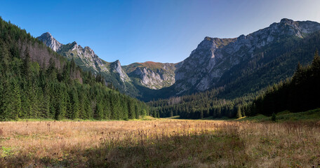 Dolina Małej Łąki - Wielka Polana Małołącka - Tatry Zachodnie