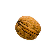 Walnut close-up on a white isolated background.