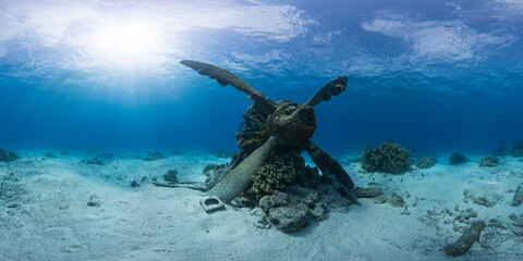 WWI plane wreck in ocean in Saipan