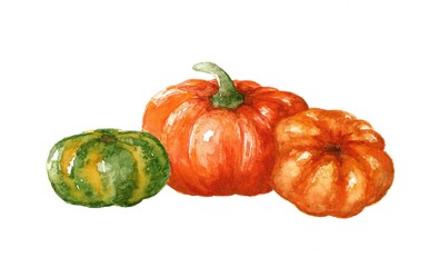 Orange and green pumpkins, isolated on the white background, watercolor illustration