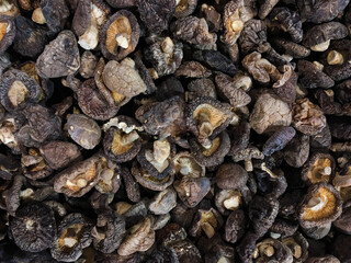 Dried shiitake mushroom