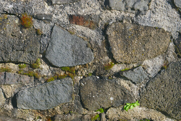 Traditional Auvergnat volcanic stone wall close up