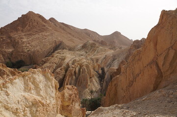 Fototapeta premium oasis