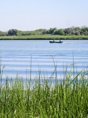 a small boat floats on the river among grass, greenery and reeds
