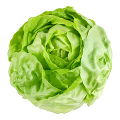 salad, lettuce, isolated on white background, clipping path, full depth of field