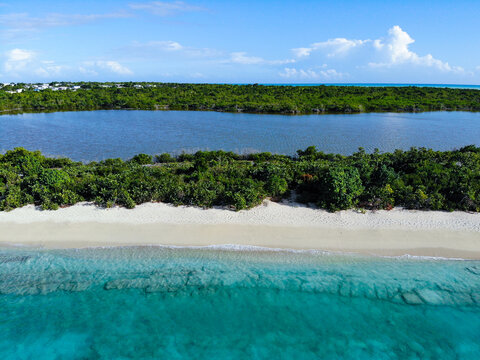 Beach coastline in the Caribbean with mangrove bay