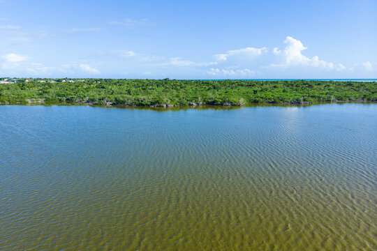 Caribbean Island bay with mangroves