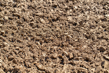 Soil background