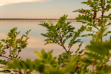 Marina Romea Emilia Romagna Seaside Sunset Summer