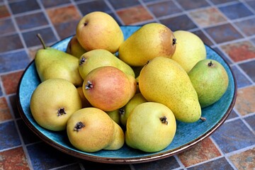 Zdrowe gruszki na paterze prosto z ogrodu (odmiana 
Bonkreta Williamsa)