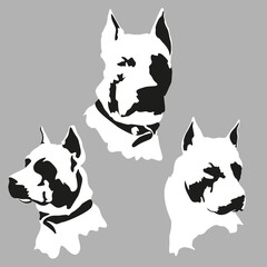 American Staffordshire Terrier dog icon