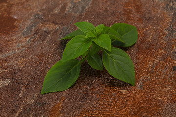 Naklejka premium Fresh green Basil leaves - for cooking