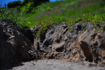 green moss on the rocks