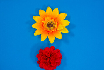 Flowers neatly arranged, isolated on background and with space for writing