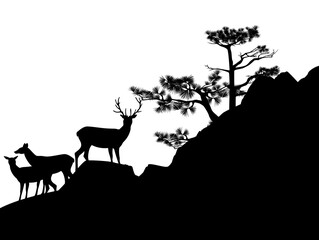 wild deer herd with stag standing on pine tree covered rock cliff - black and white vector silhouette scene