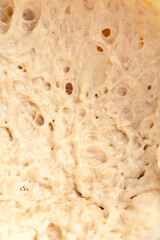 Macro whole wheat sourdough. Wallpaper