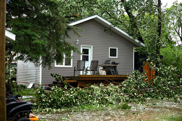 Back yard destruction from fallen trees and hail during a summer storm