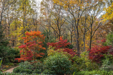 Autumn colors in the park