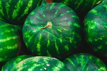 green and yellow watermelon