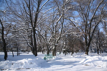 Allphotokz Park Astana 20071225 6361 5D S