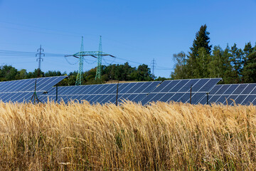 Detail of the Solar Power Station in the late summer  Nature