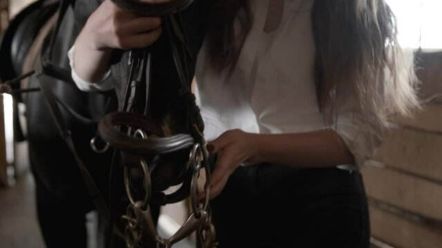 Girl in a white shirt tightens the bridle on a horse