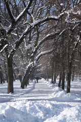 Allphotokz Park Astana 20071225 6366 5D S