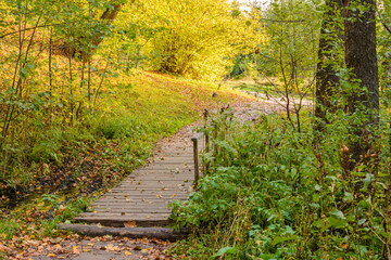 Wooden bridge in the forest covered with autumn foliage. Autumn landscape near the blue lake.