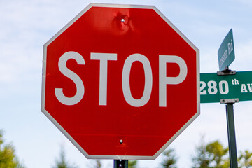 Stop Sign on a country road with trees during summer
